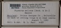 Image Associated With the Occurence